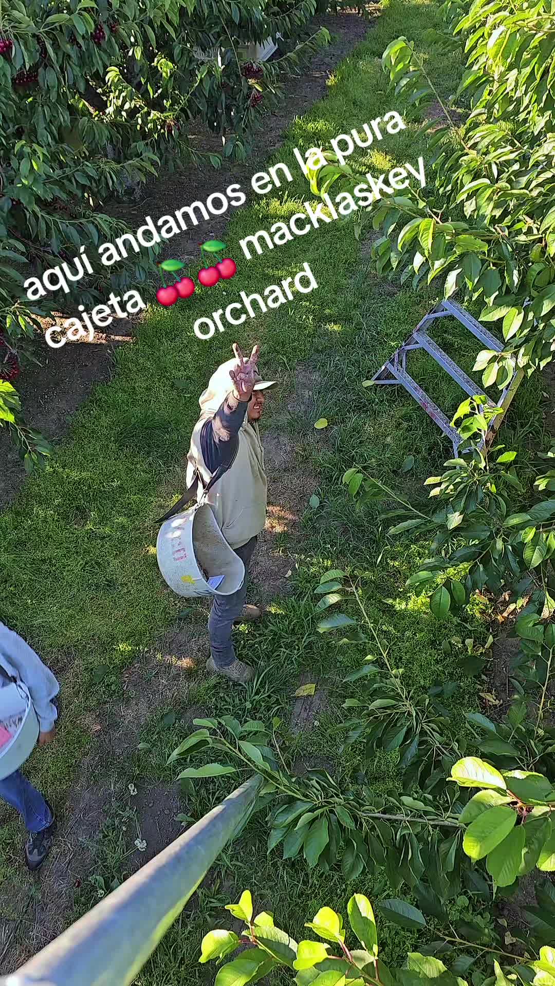@fulgencio🤠