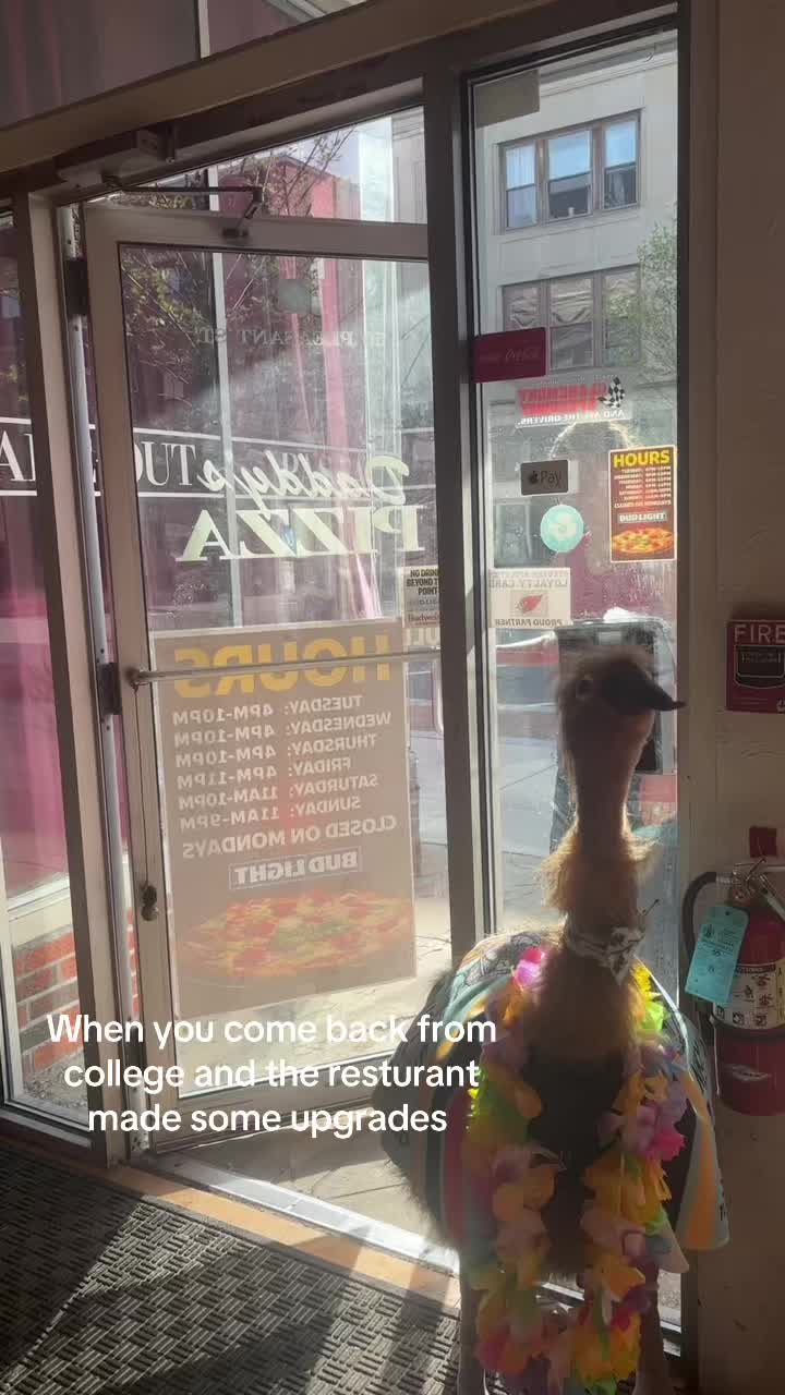 @thedaddysgirls