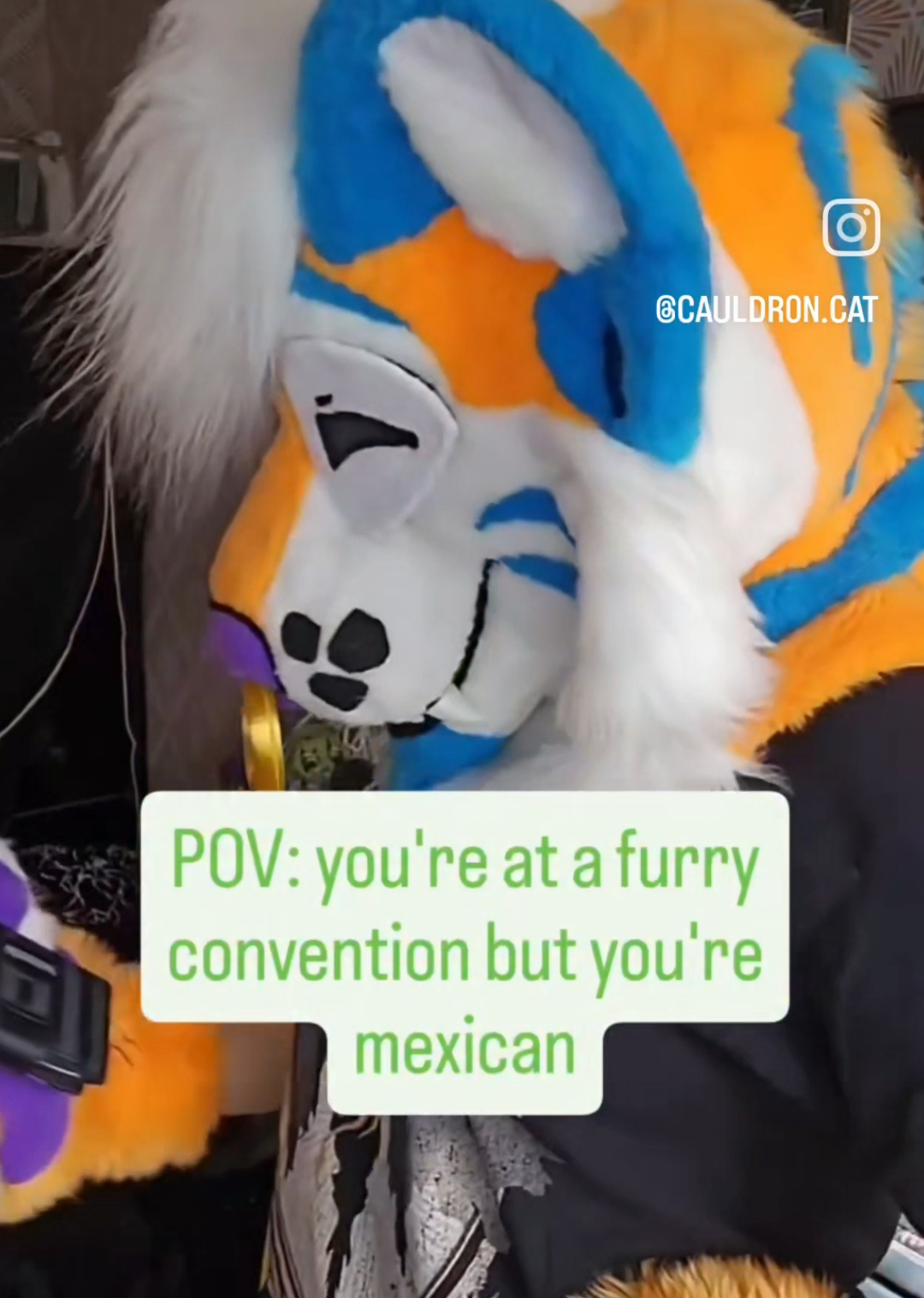 @cauldron.cat