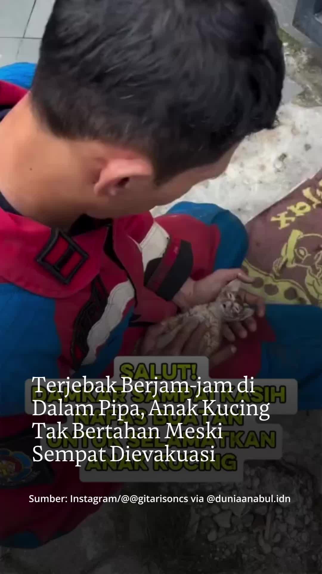 @mongabayindonesia