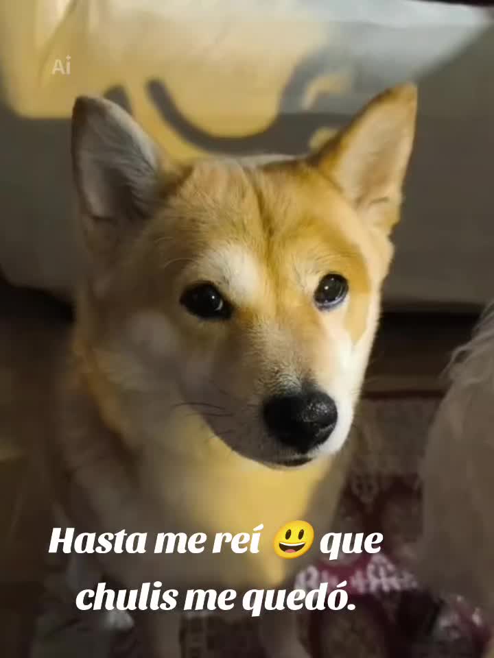 @Gleiia23