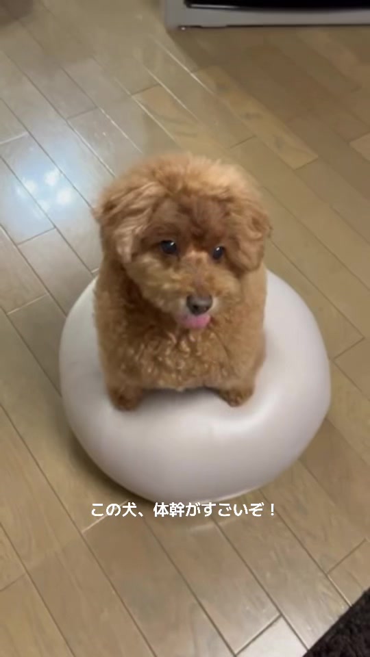@セレブリティー