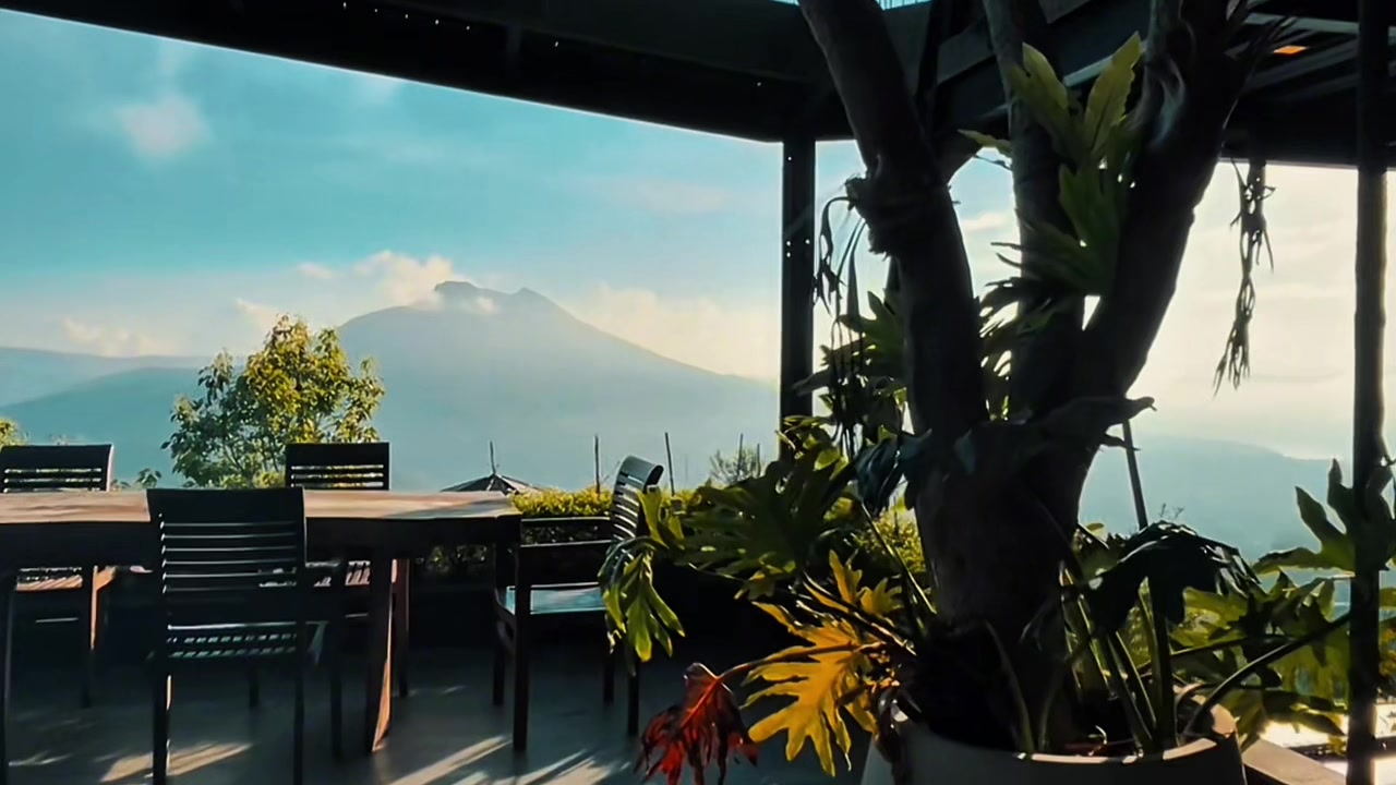 @Amora Kintamani