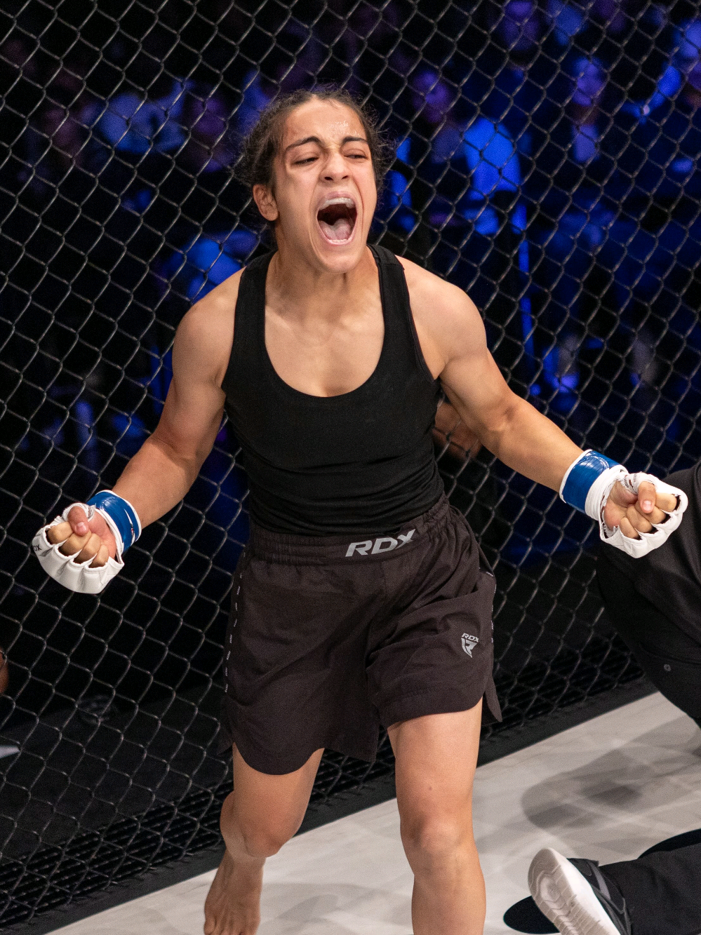 @🇺🇸MMA/AZE🇦🇿🇪🇺