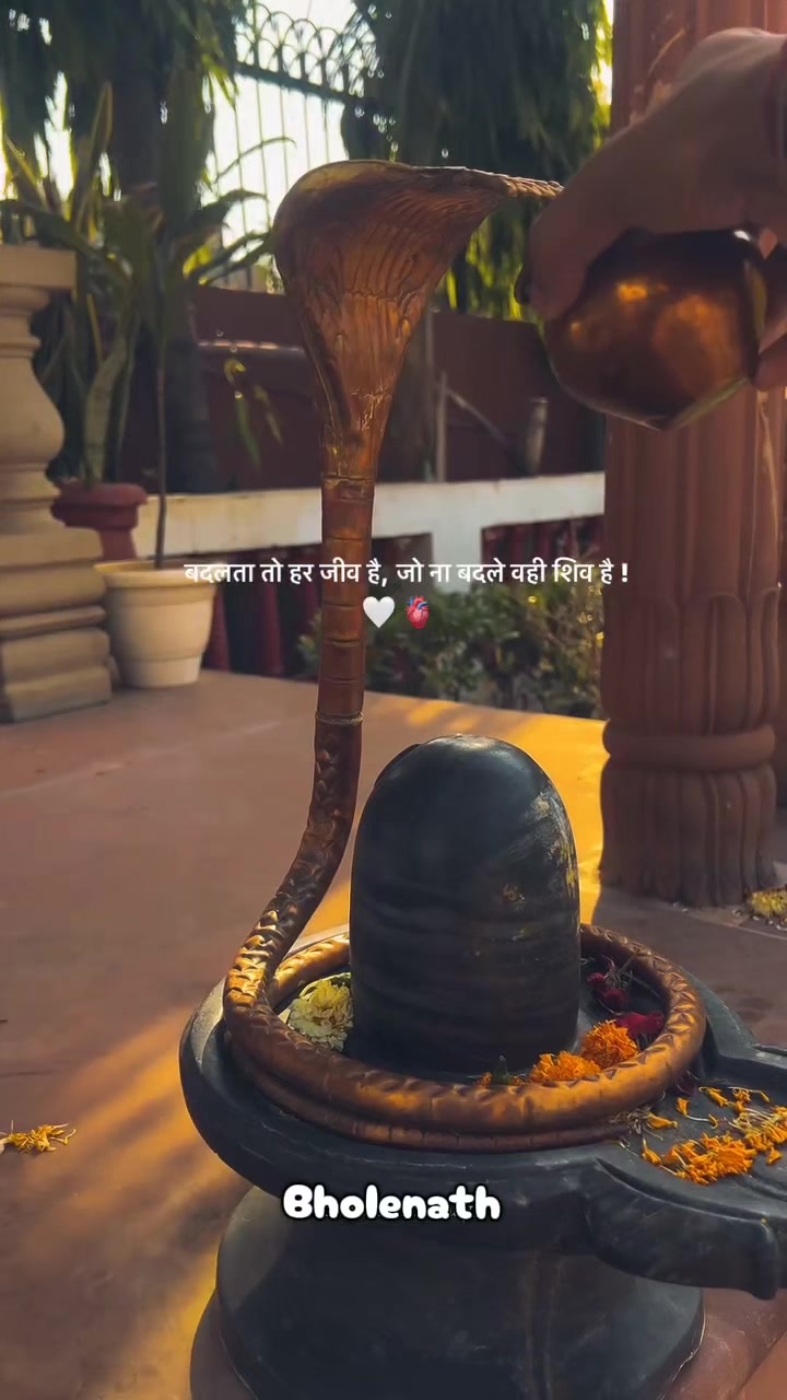 @🕉☘️Sujata❤🌻🦚