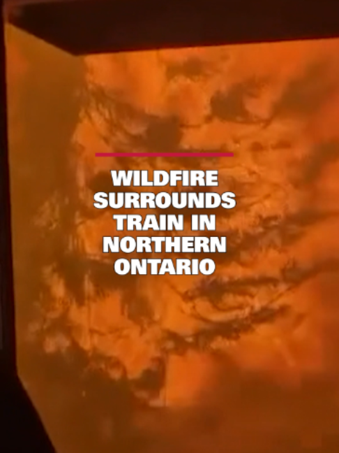 @cp24