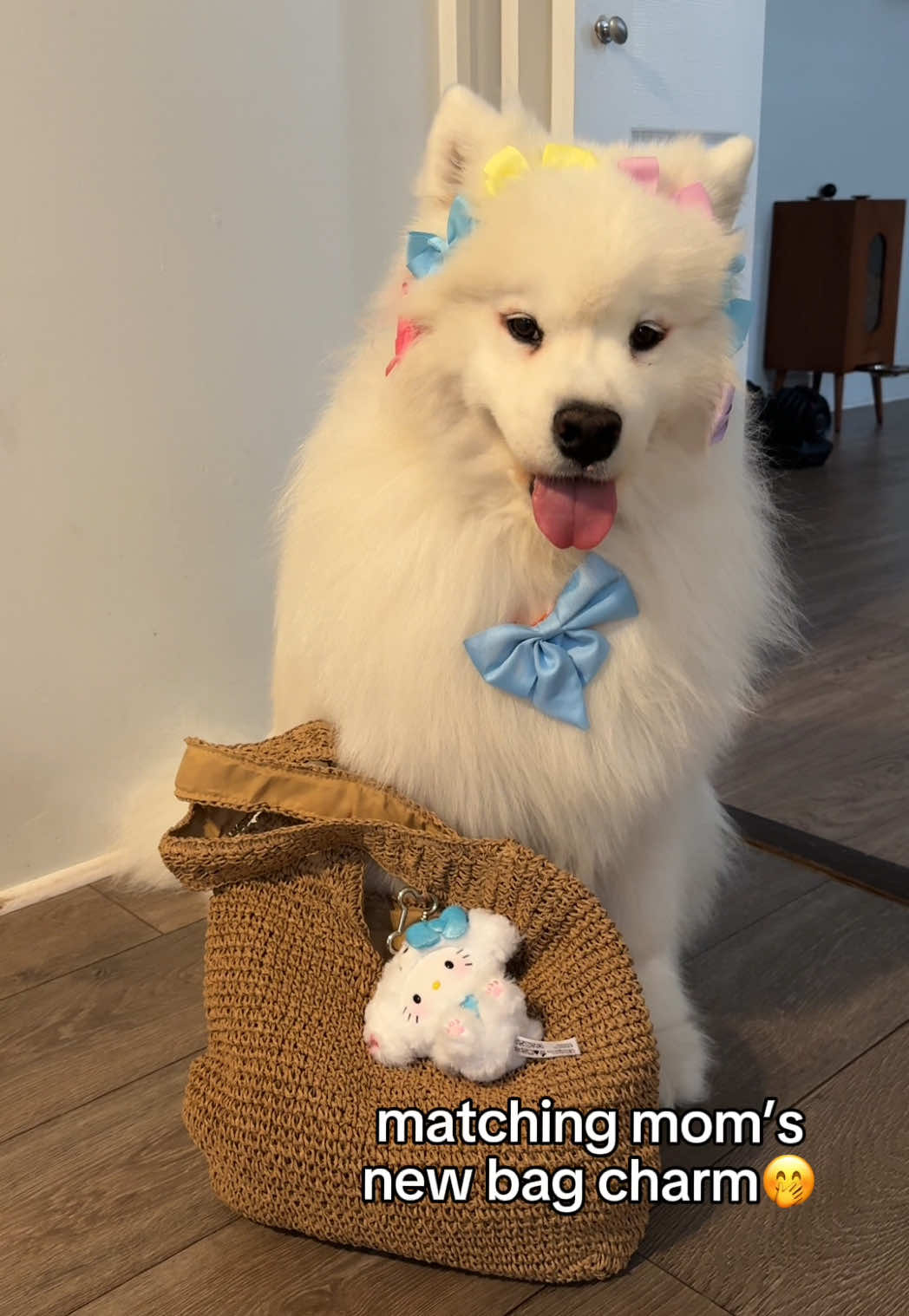 @Biff the Samoyed