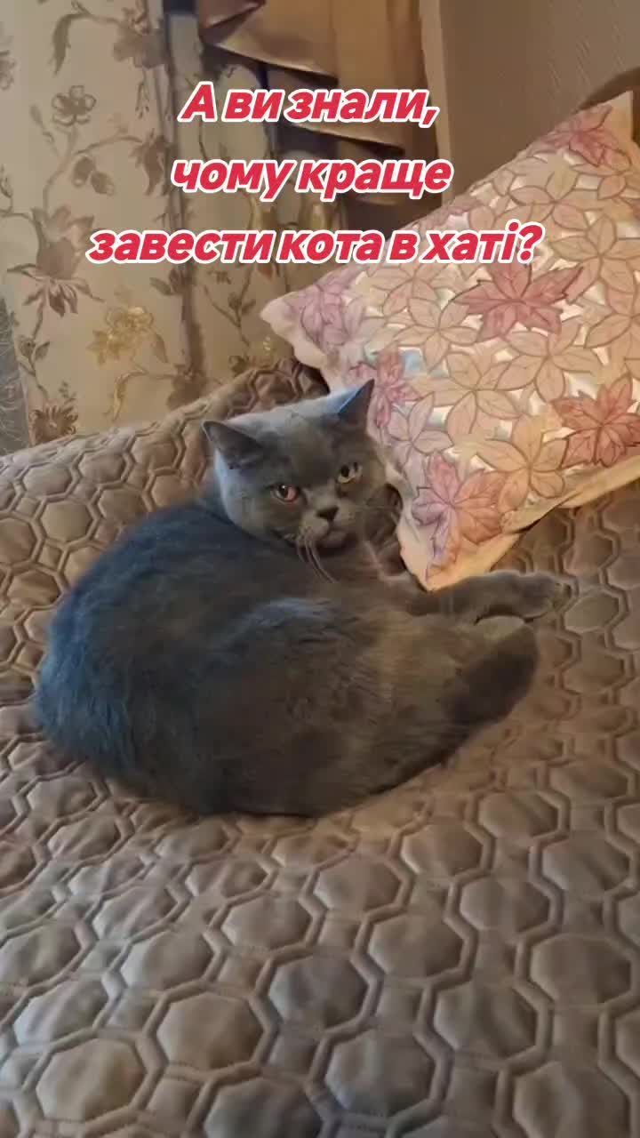 @Svitlana