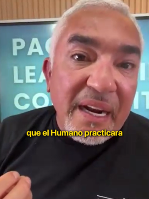@Amorir