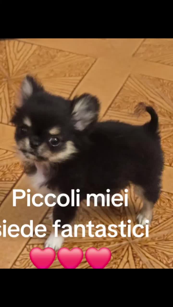 @Elena Paganelli