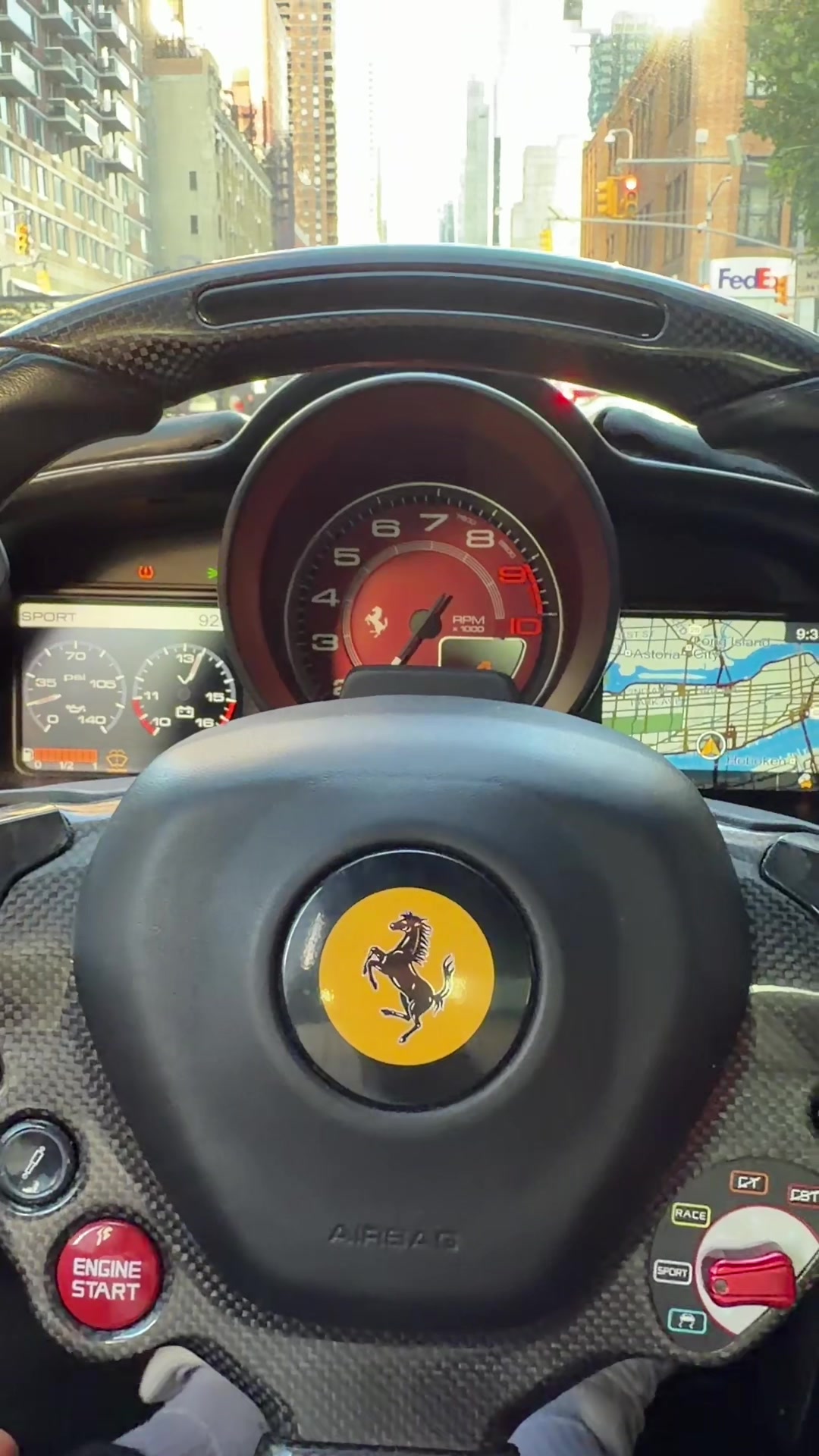 @Champexotics