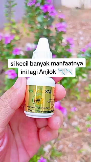 @mama_DanendraStore
