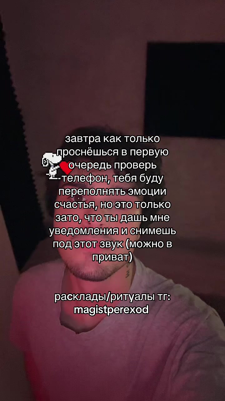 @Тг➜ magistperexod