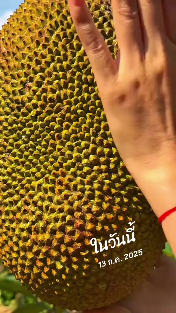 @Konloy