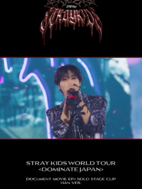 @straykids_japan