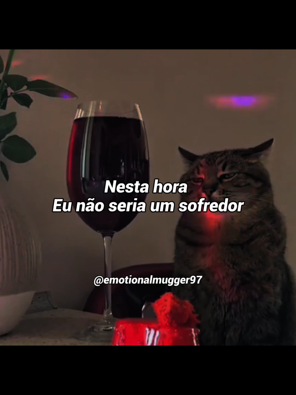 @Emotional Mugger 97