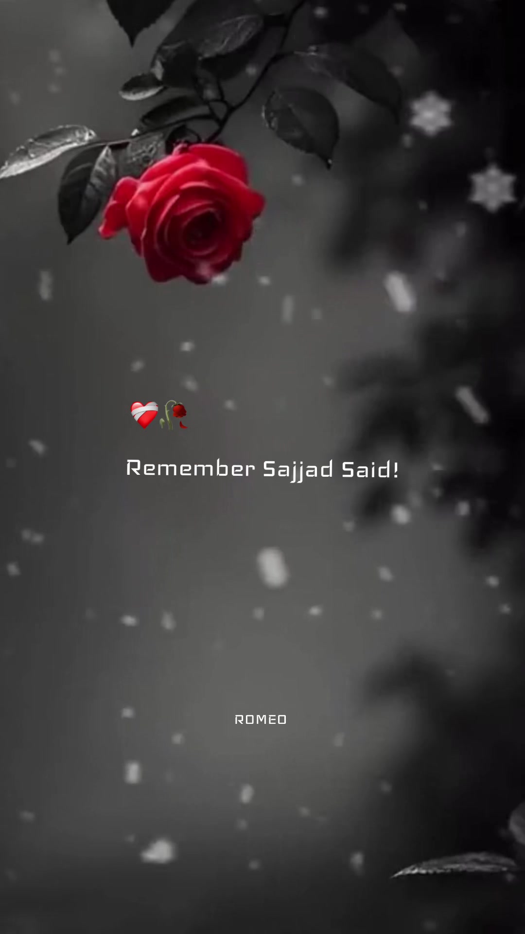 @romeomustdie