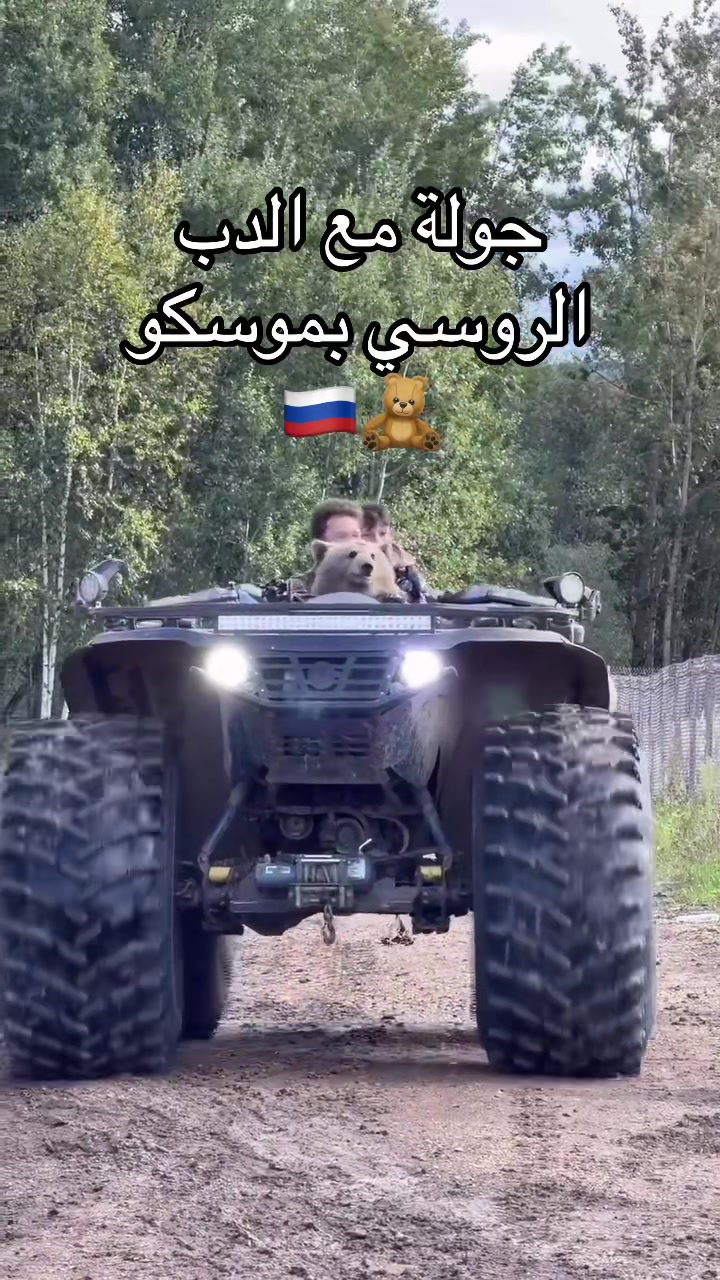 @tourism_russia_company