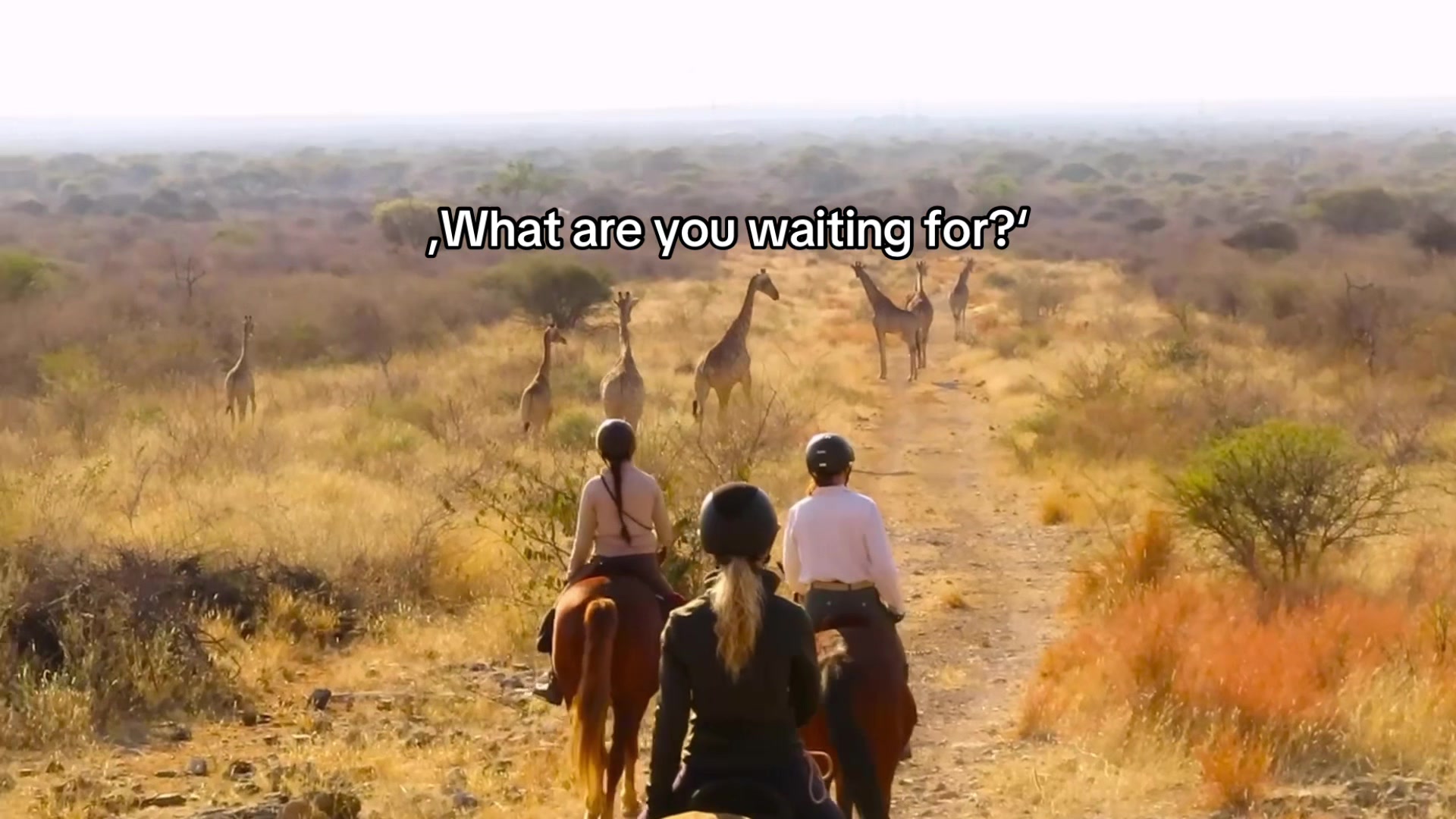 @Hoof & Travel 🐴🌍🐘