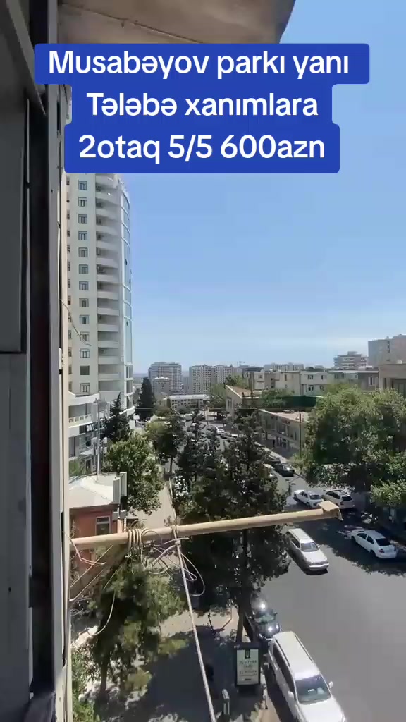 @🏢REAL ESTATE🏤