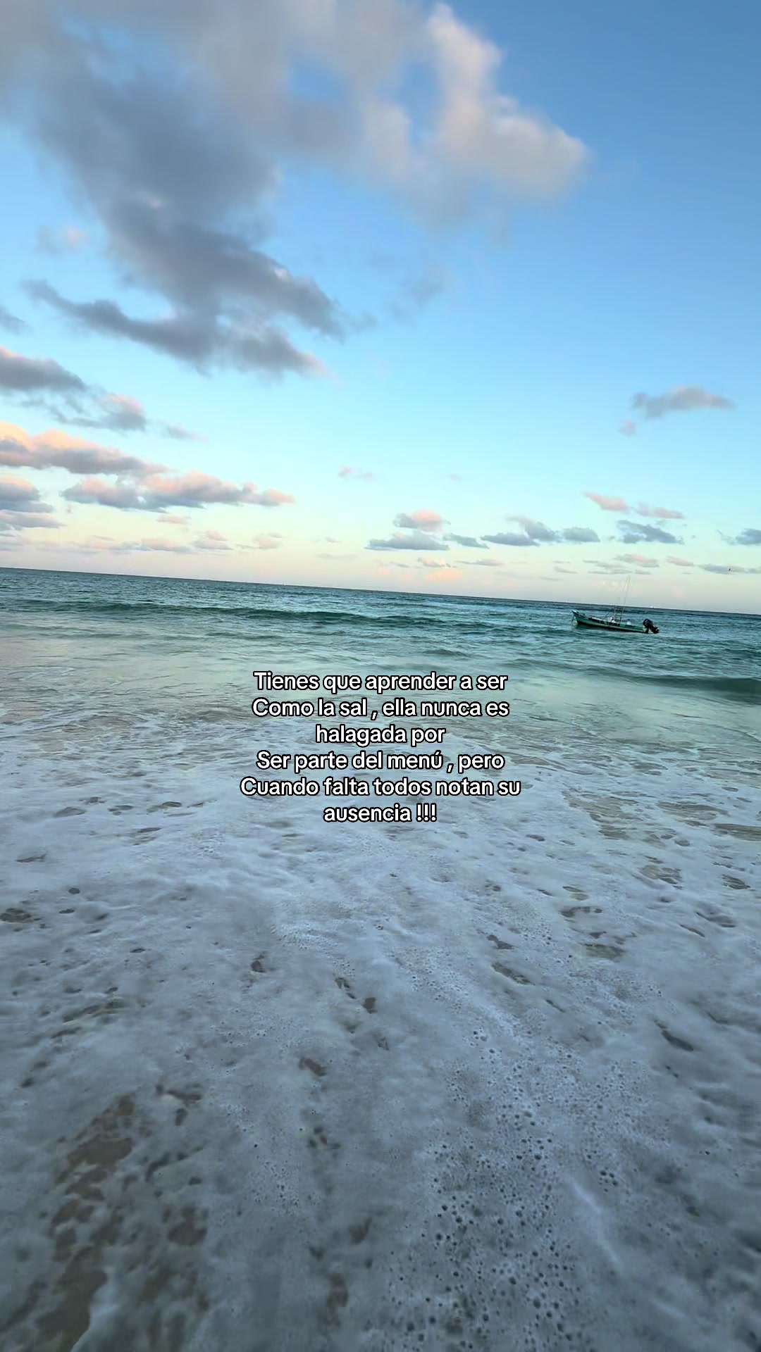 @Stephanie 🌊