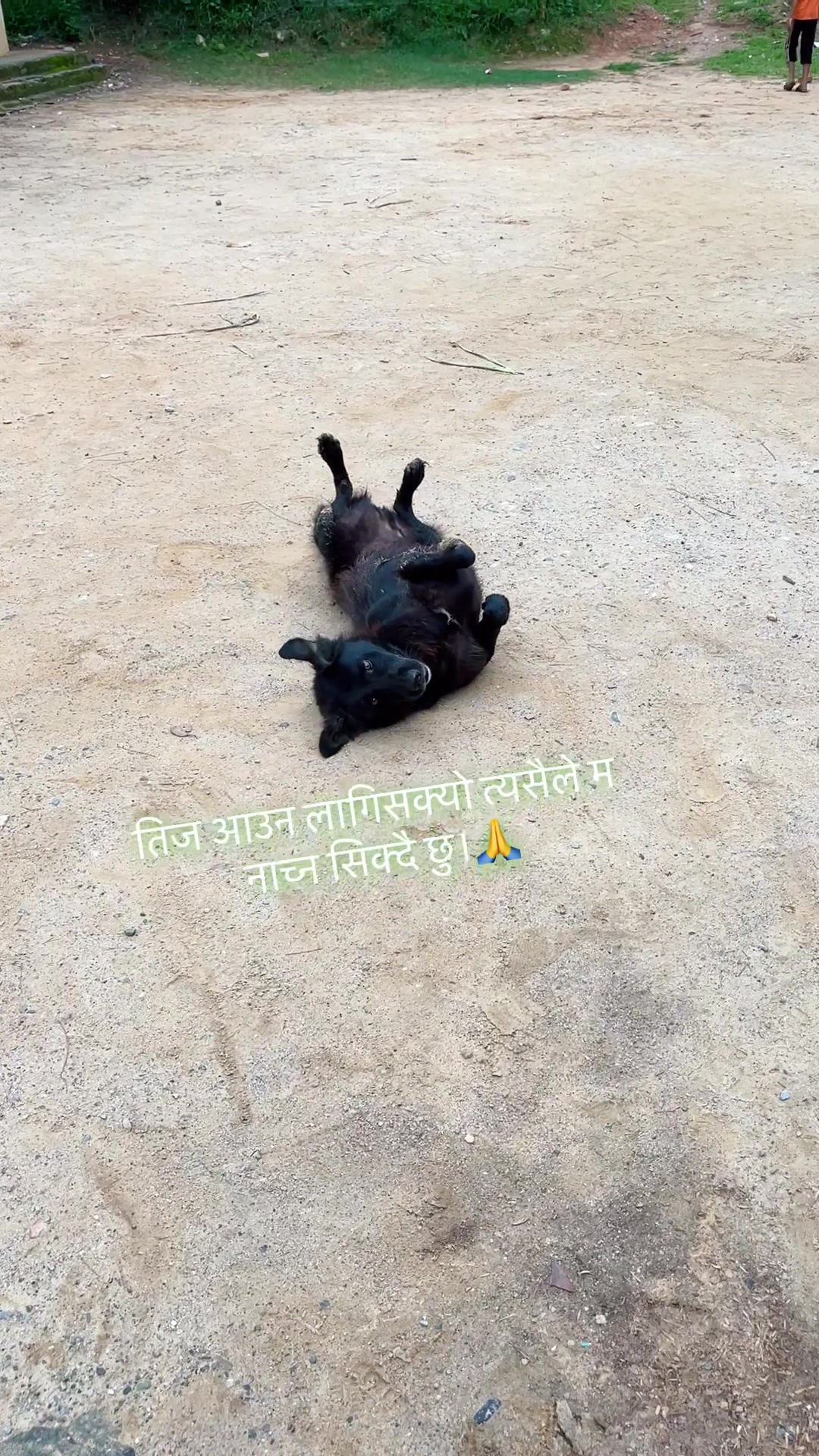 @Suresh puri 