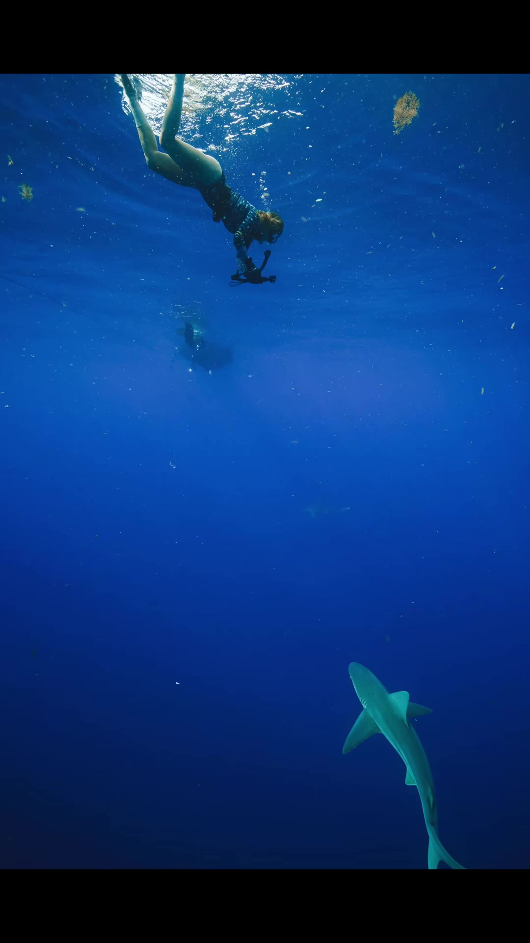 @Lauren Lopez | 🌊🏄&zwj;♀️🦈
