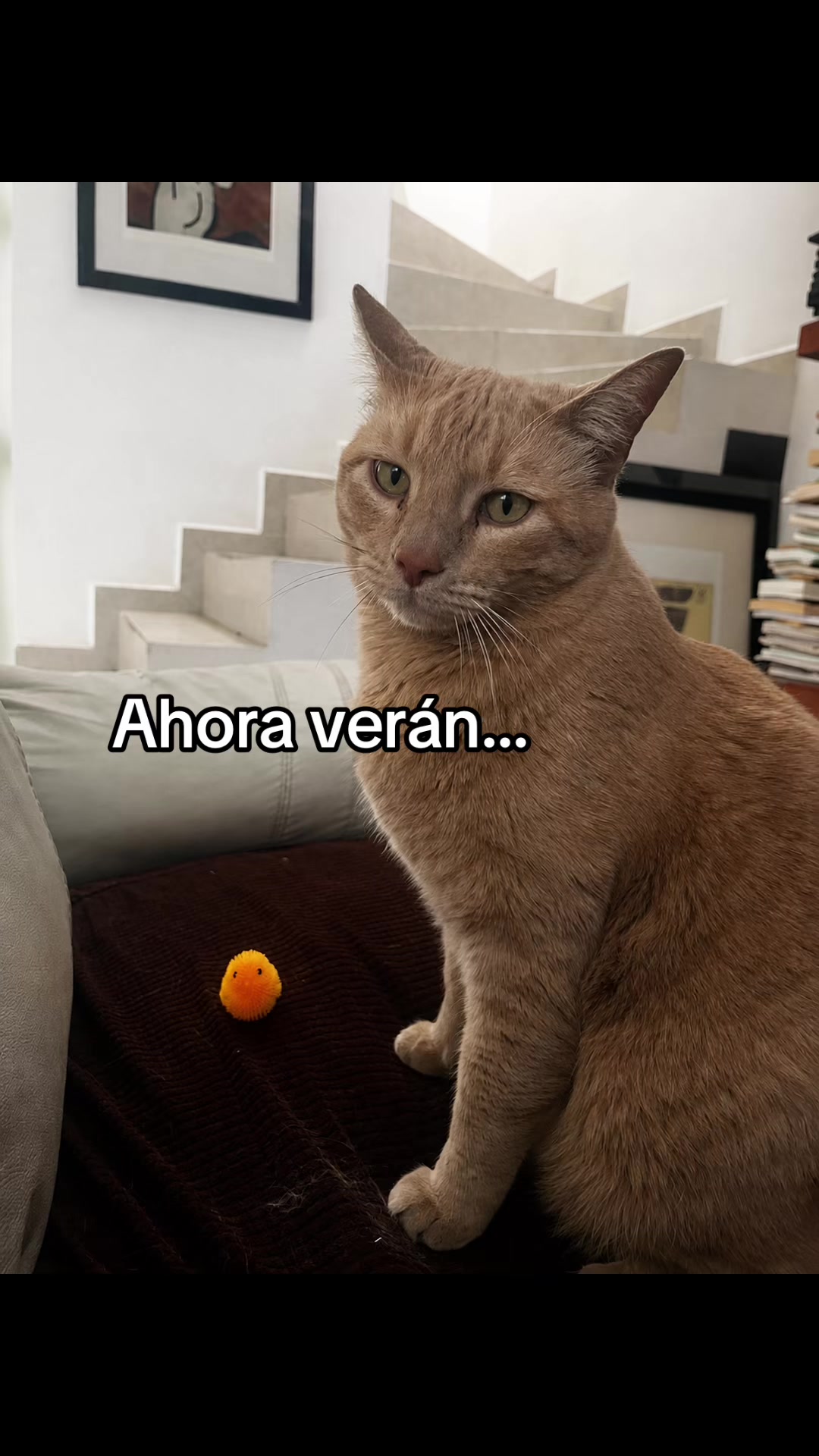 @Wilson Yeyé