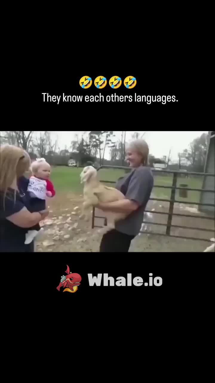 @dailyweirdness1