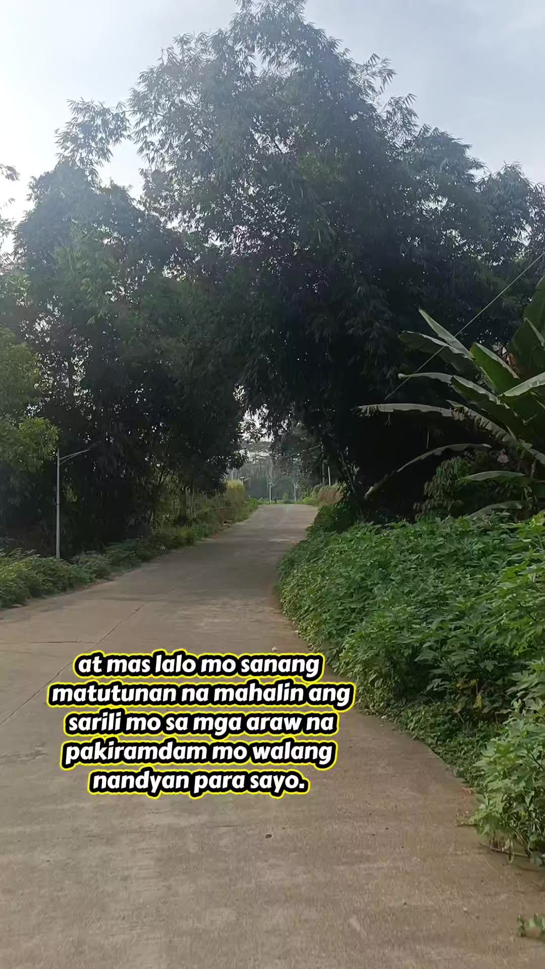 @Oh My ツ
