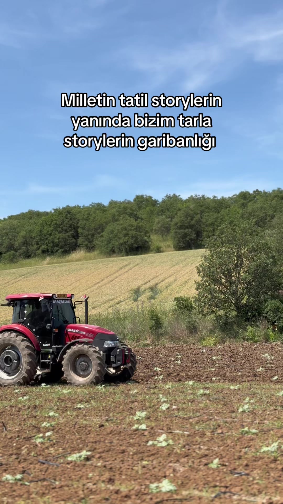 @gozde