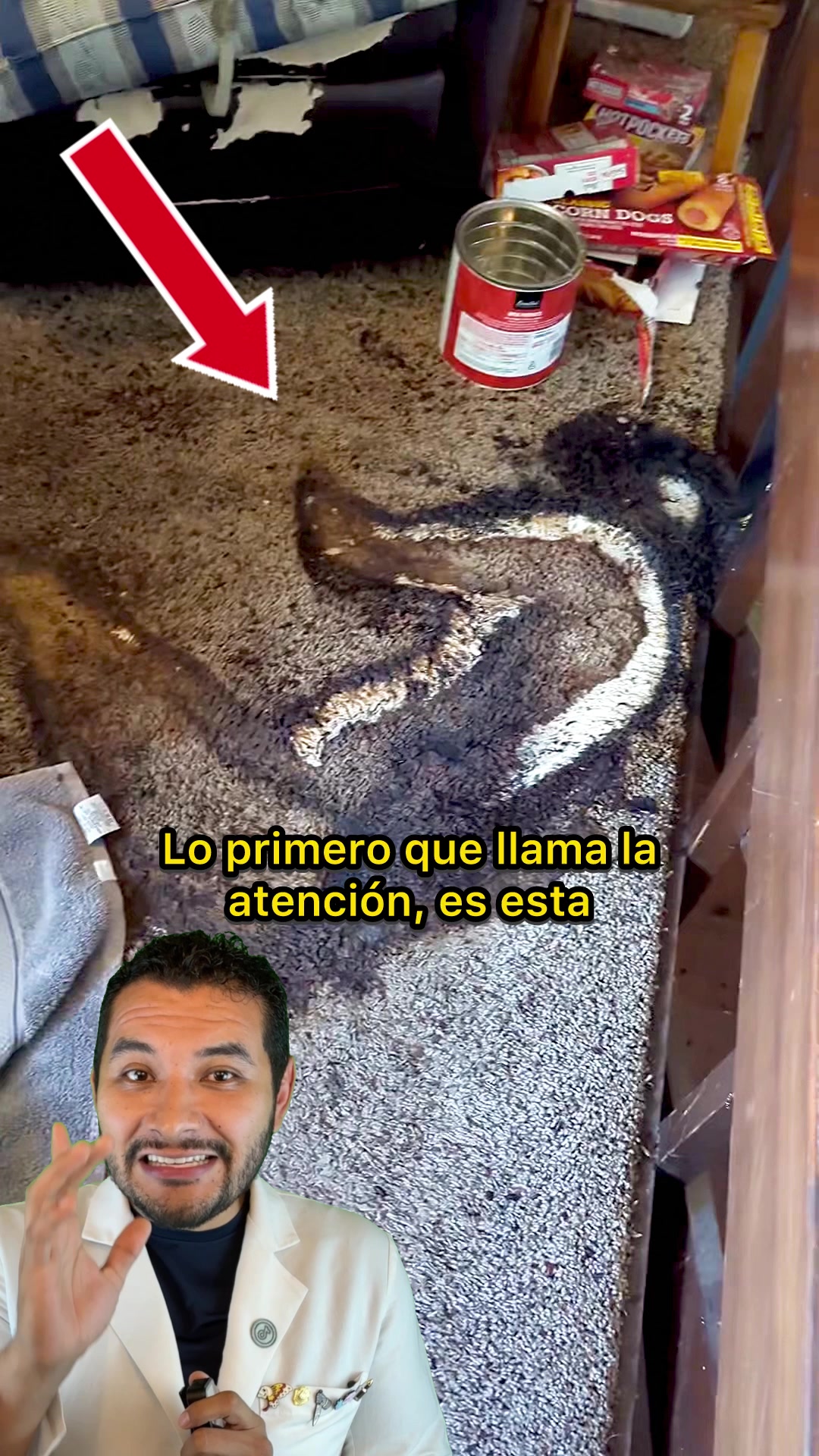@Investigador Forense
