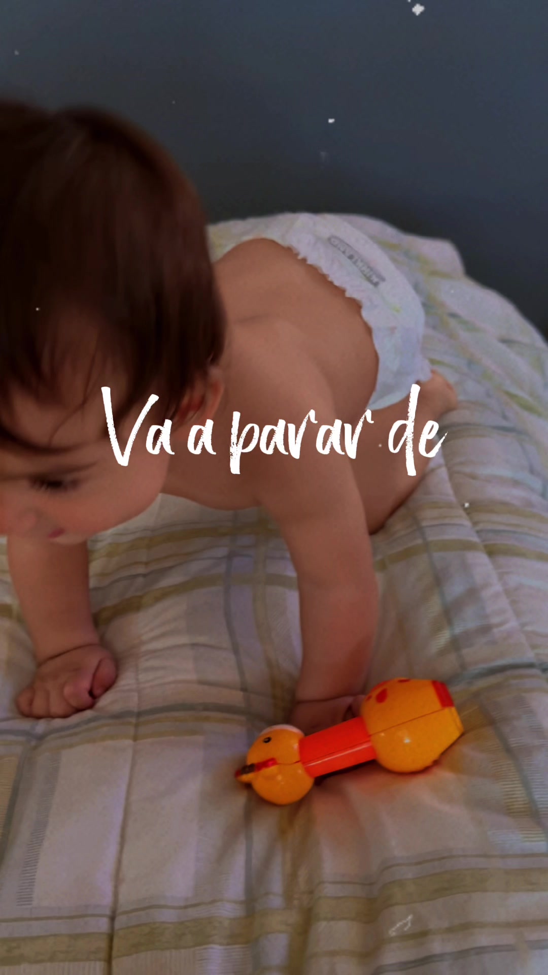 @Magaly Verdugo