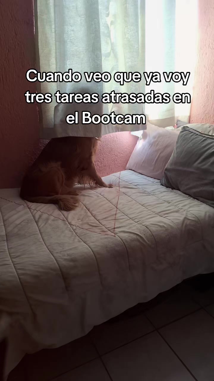 @yaliiz1