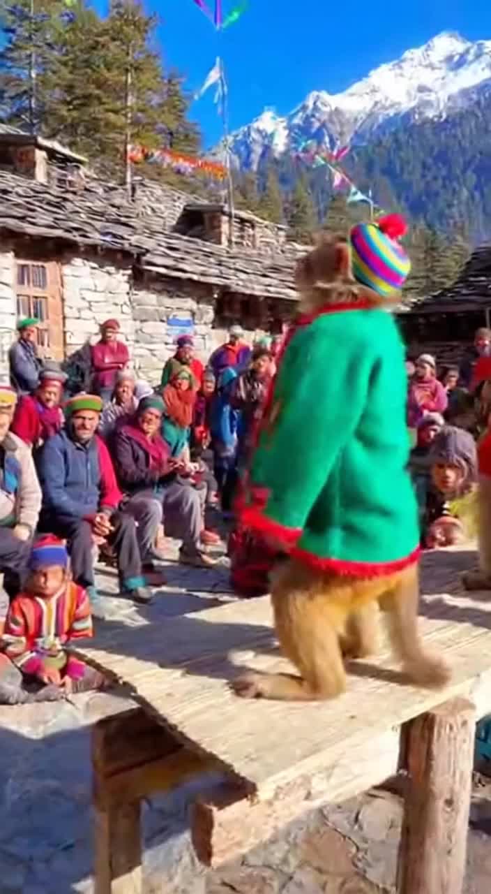 @Himachali Camper