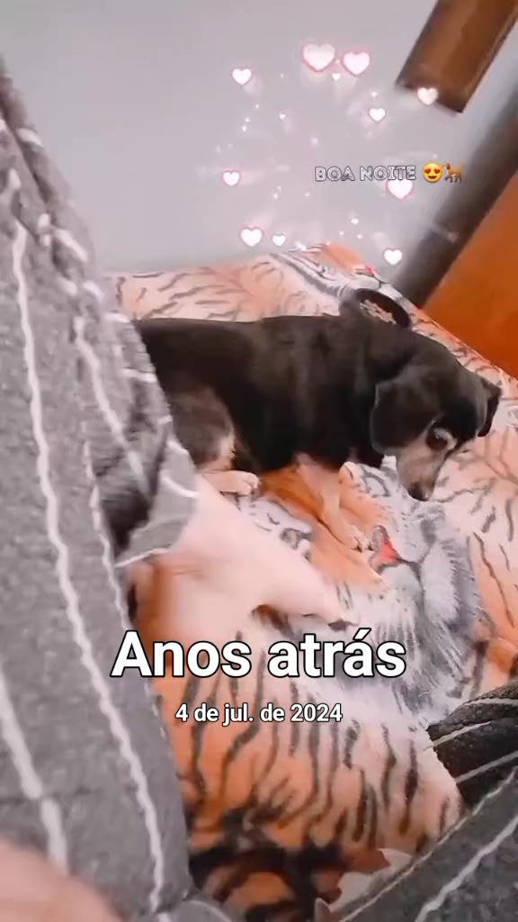 @Rosangela Marques