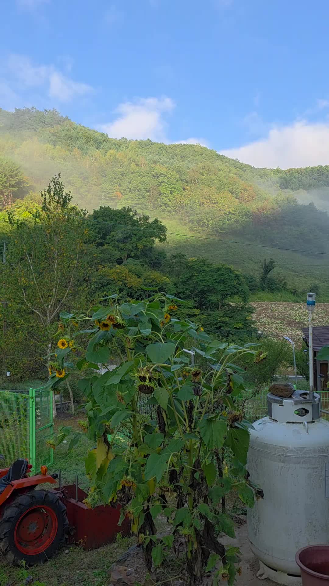 @유튜브 "정선사람들" 안용현
