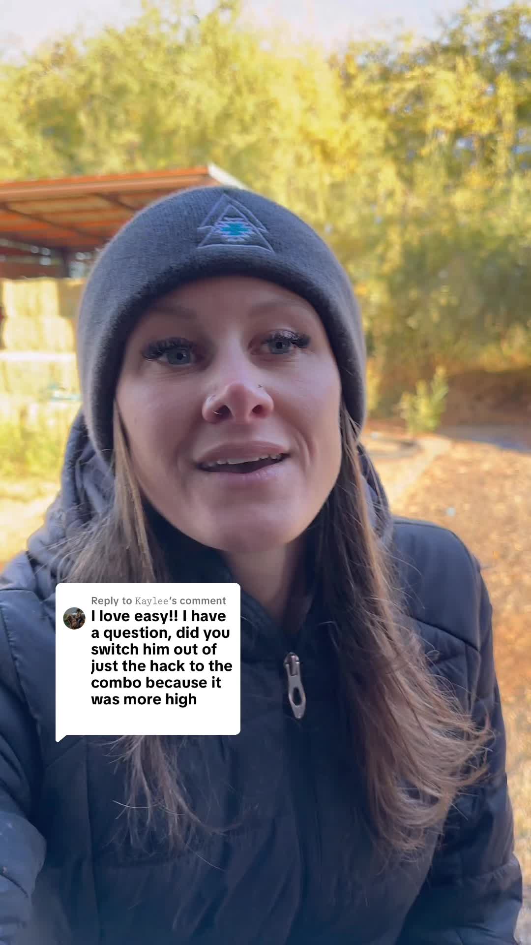 @maddistoltman