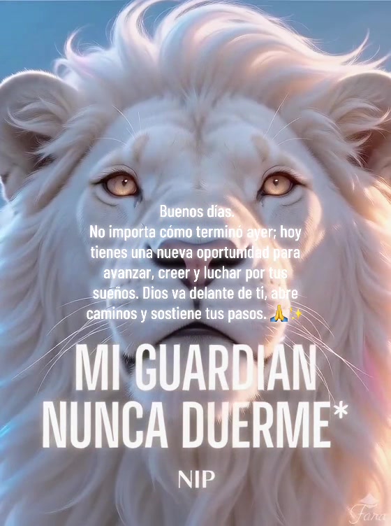 @Rodrigo Hernandez