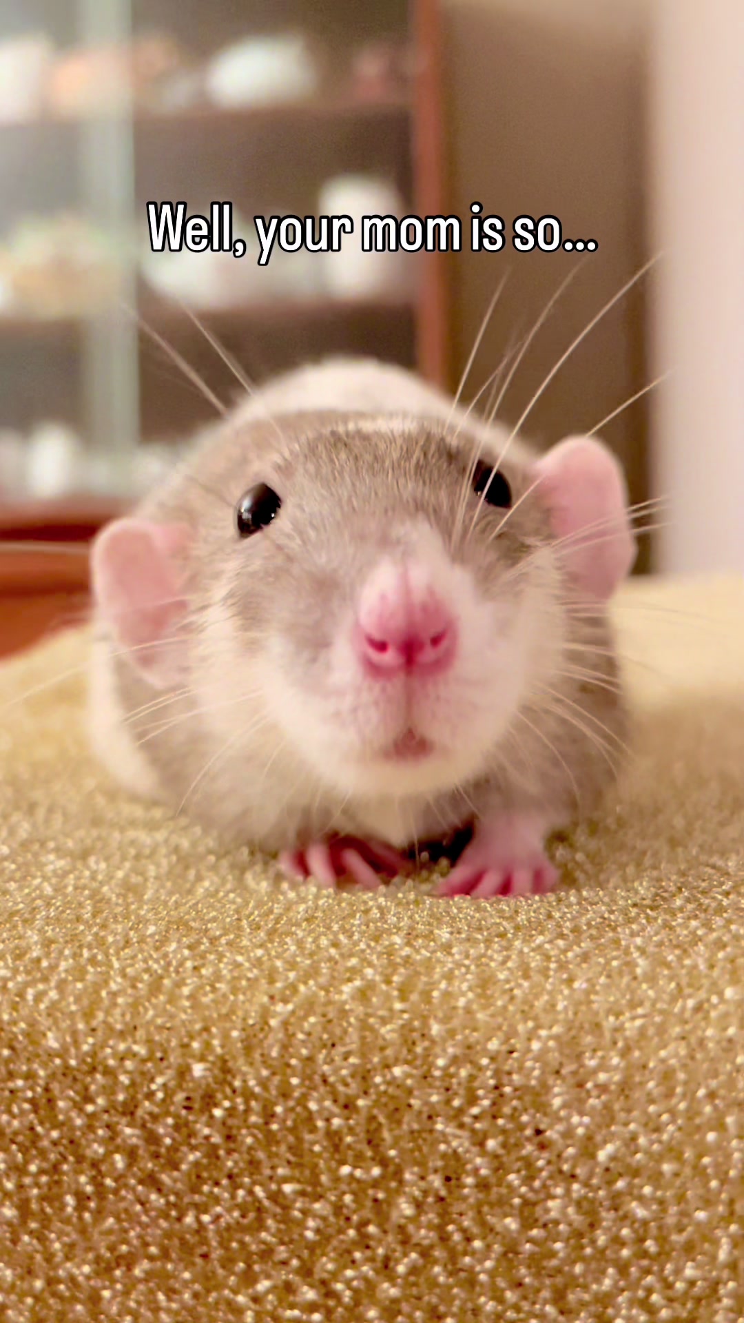 @RatsHaveFeelingsToo