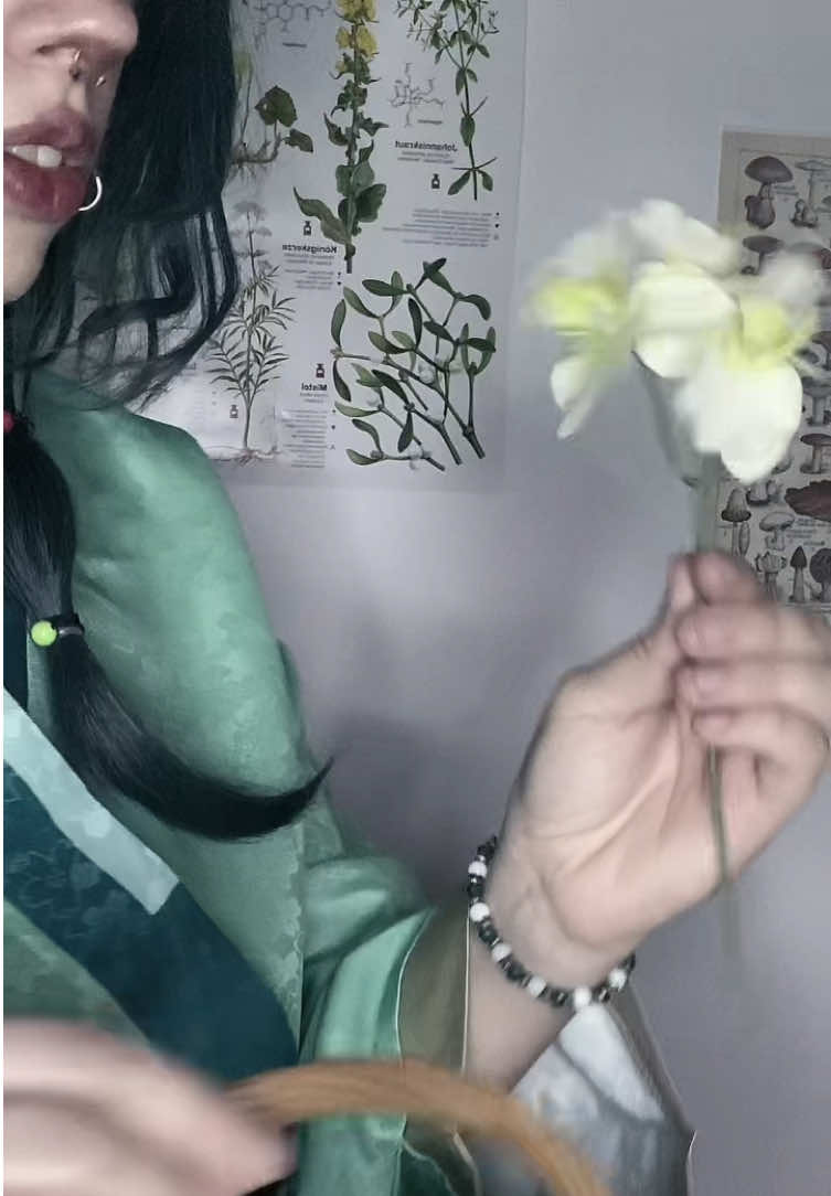 @arlo!! ⋆｡𖦹&deg;⭒˚⋆ @dokomi