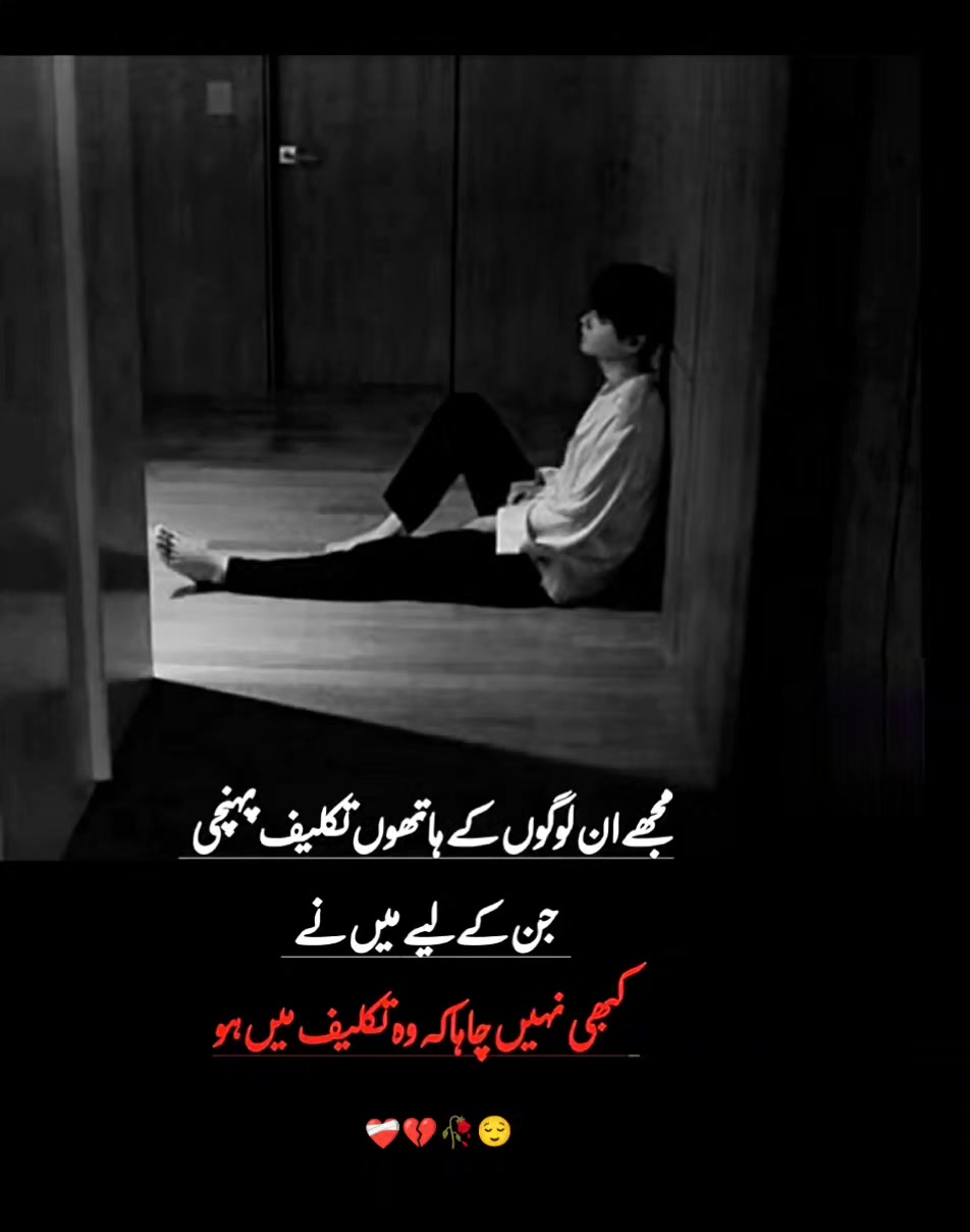 @mmurtaza1457