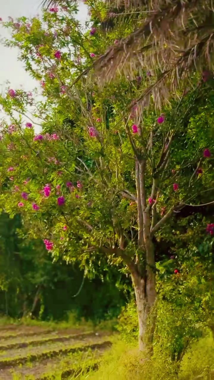 @دائم♡