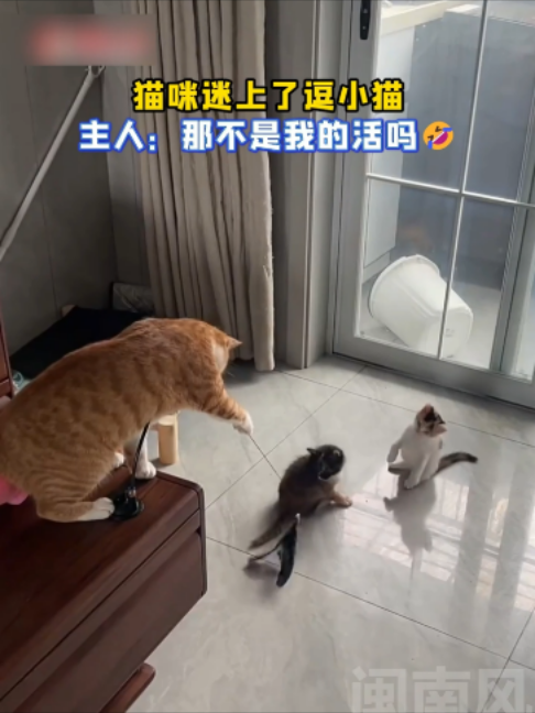 @闽南风~