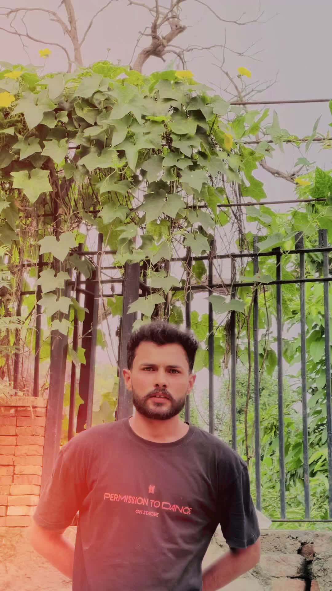 @mian80352