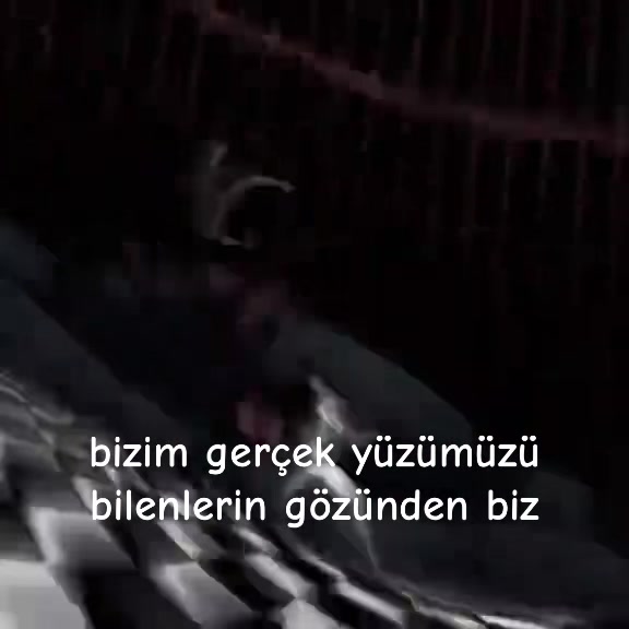 @~𝓁𝑒𝑔𝒶𝒸𝓎