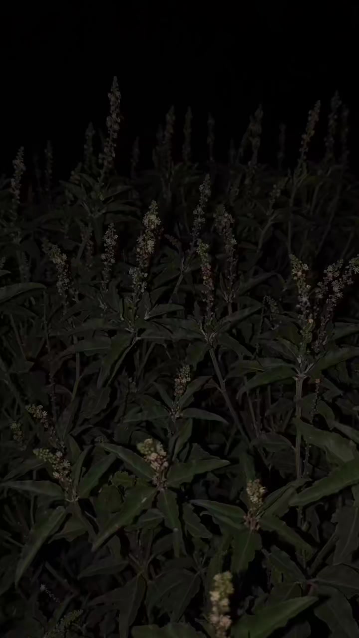 @𝑬 𝑴 𝑨 𝑵 ♥️