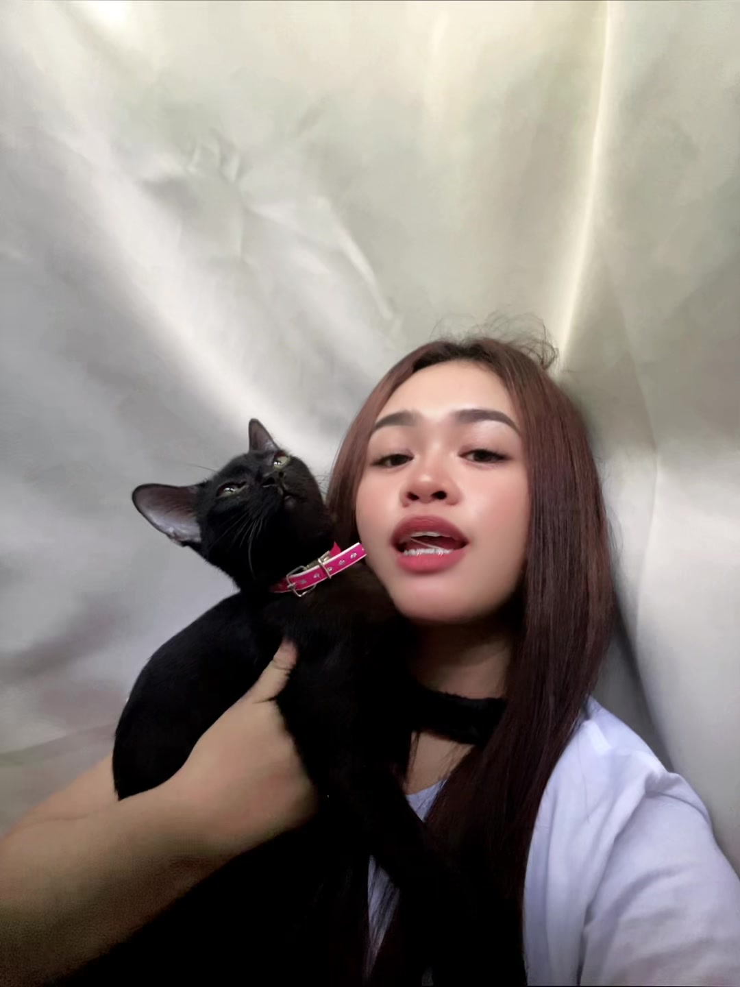 @mcdollibee