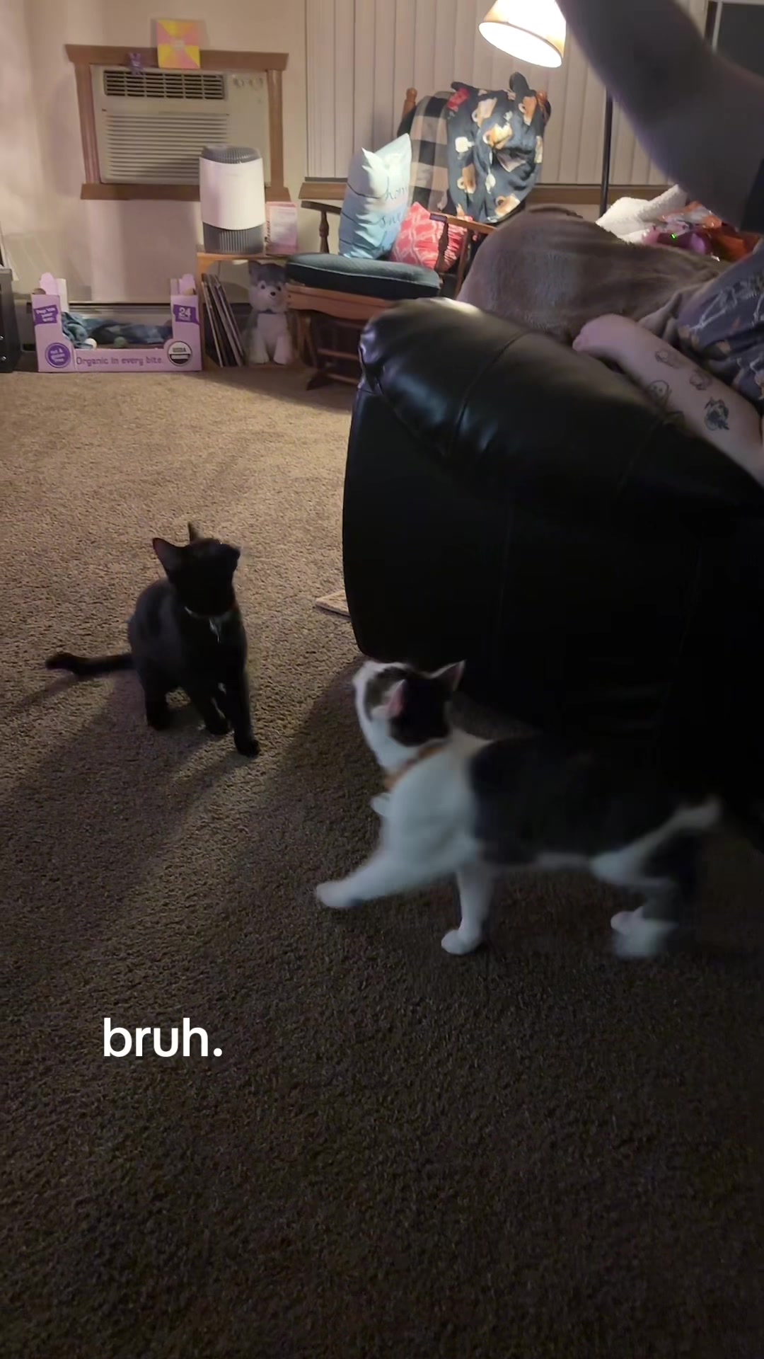 @fuckoffjanet444