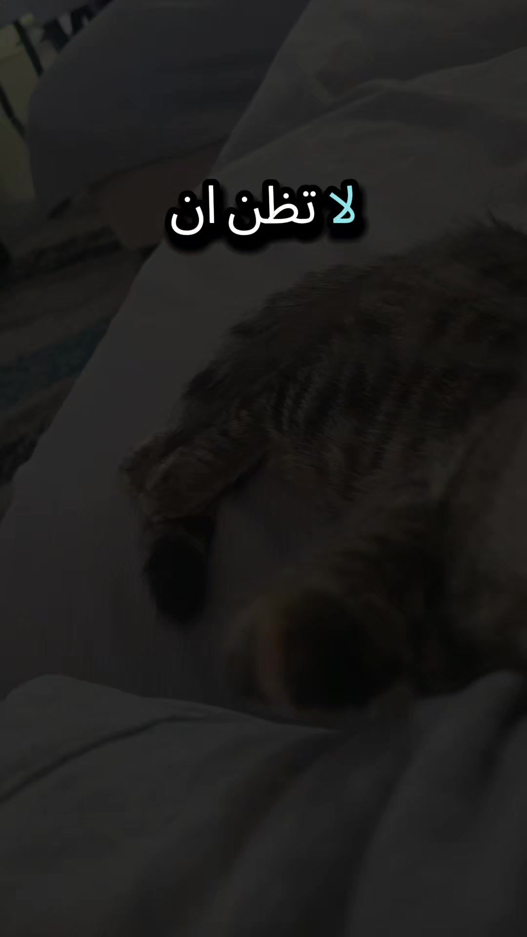@🦅♟️الكاسح السوري♟️🦅
